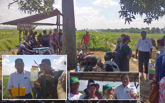 Spudnik Sujono Hampir Sepekan di Brebes Kendalikan Hama Bawang Merah